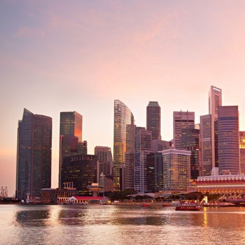 Healthcare & Wellness (1)